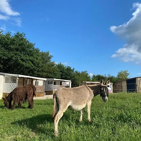 Campingplads De La Ferme Au Anesses, Mobil Happy *