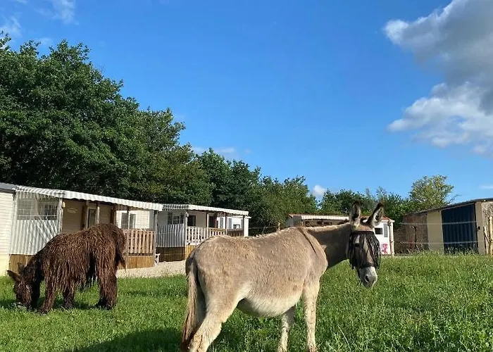 Campsite De La Ferme Au Anesses, Mobil Happy *