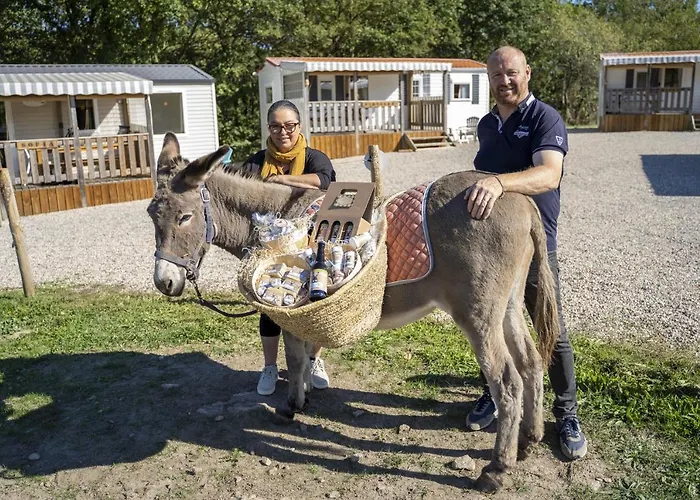 De La Ferme Au Anesses, Mobil Happy